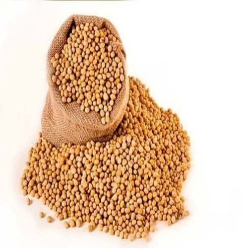 Dried Soybean Seeds For Oil Making