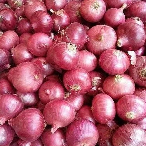 Fresh Indian Red Onion