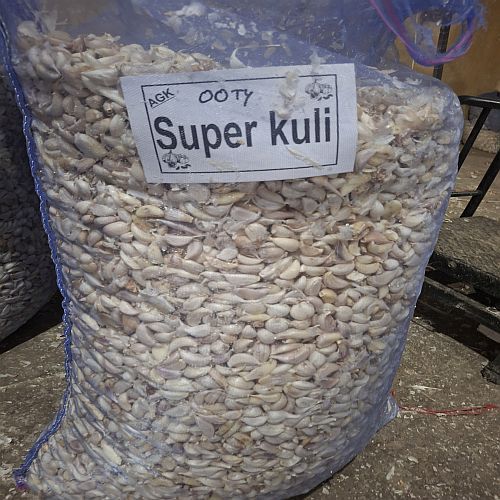 Ooty Super Kuli Grade Fresh White Garlic