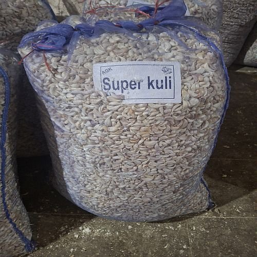 Super Kuli Grade Fresh White Garlic