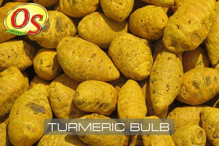 Whole Turmeric Bulb