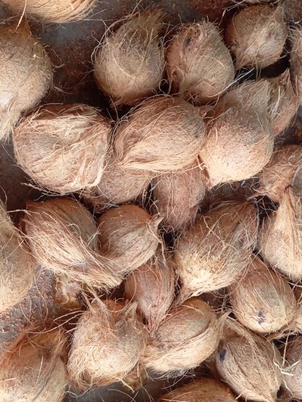 Coconut