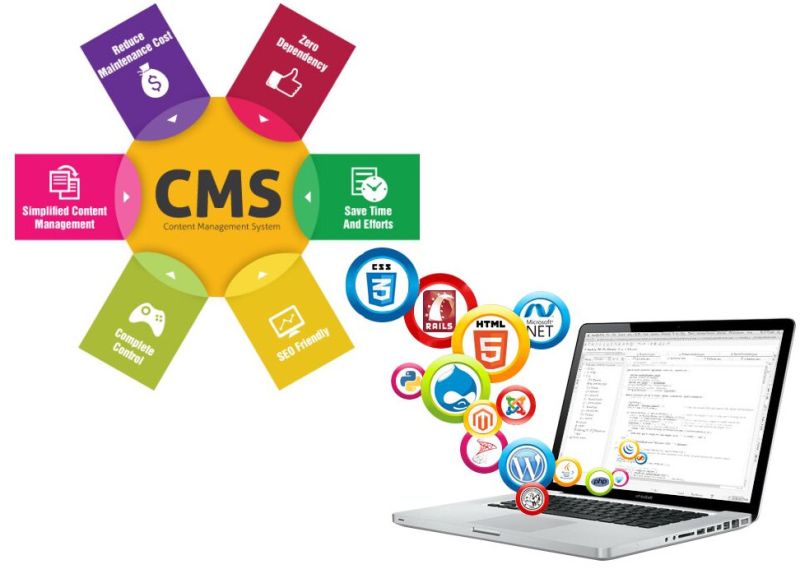 CMS Website Development Services
