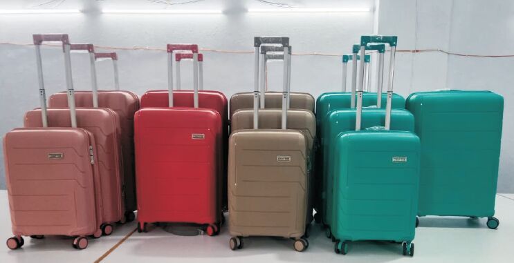 Multicolor ABS Trolley Luggage Bag
