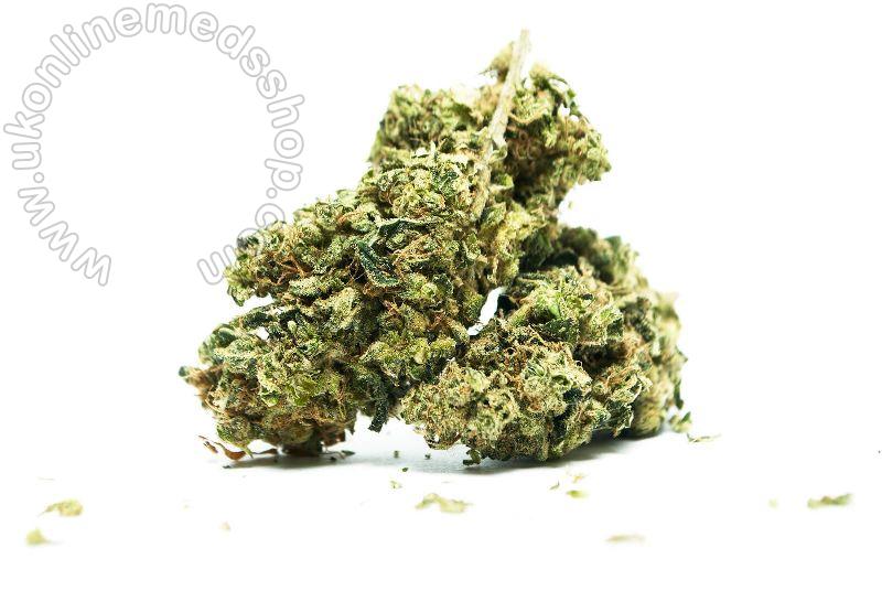 Cannabis Bud