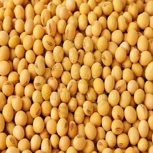 Soya Bean Dal