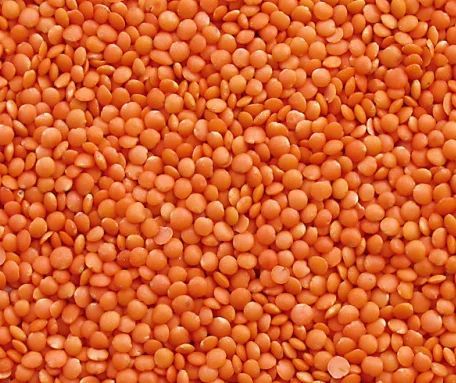 Masoor Dal