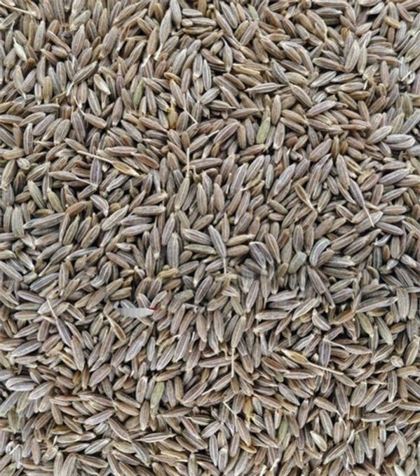 Cumin Seeds