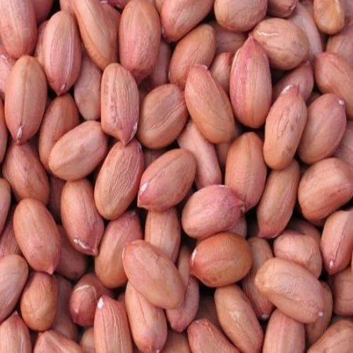 Groundnut Seeds