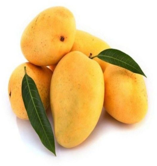 Fresh Badami Mango
