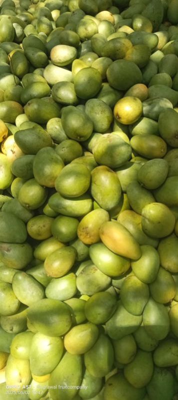 Fresh Dashehari Mango