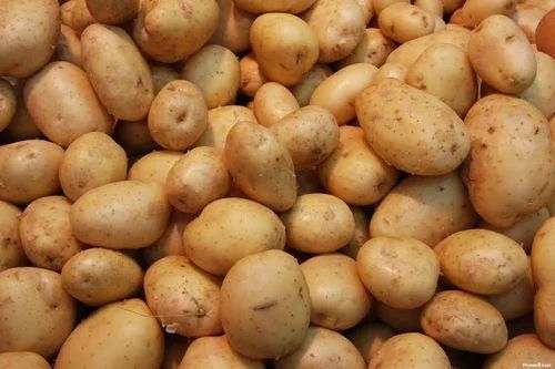 Fresh Brown Potato