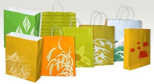Multicolour Printed Paper Bag