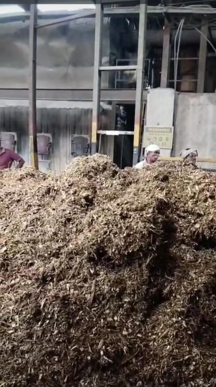 Juliflora Wood Chips