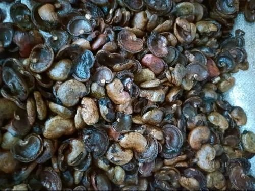Cashew Nut Shell