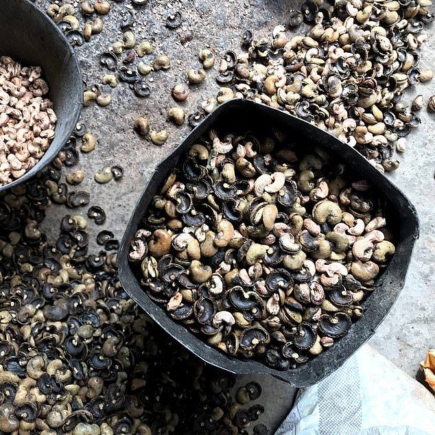 Rejection Cashew Nuts