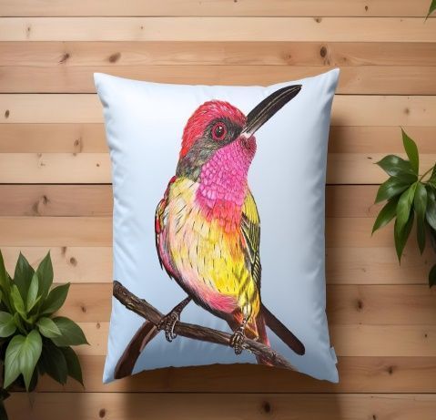 Colorful Square Hummingbird Bird Print Decorative Cushion