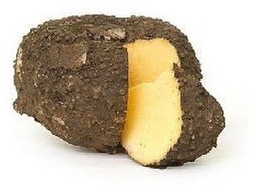 A Grade Fresh Elephant Yam
