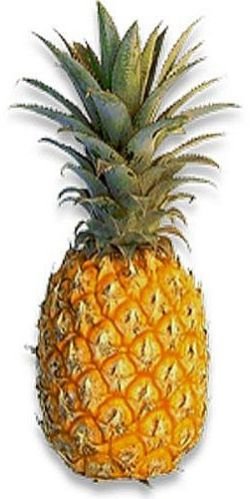 a Grade Fresh Pineapple
