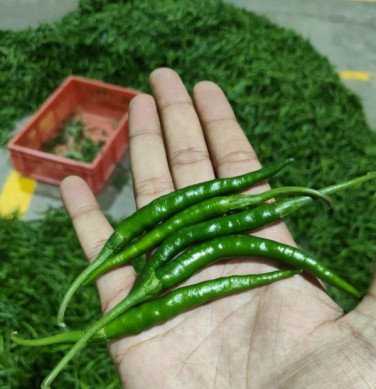 A Grade Fresh Green Chilli