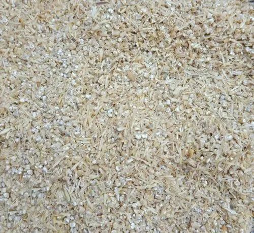 Barley Seeds Cattle Feed