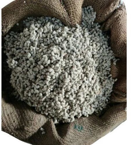 Natural Grey Cotton Seed