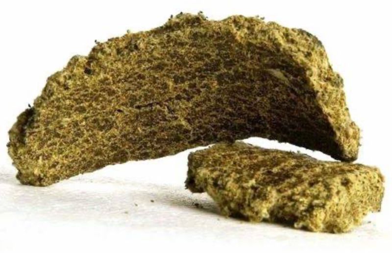 Cotton Seed Oil Cake