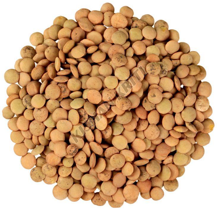 Organic Brown Whole Masoor