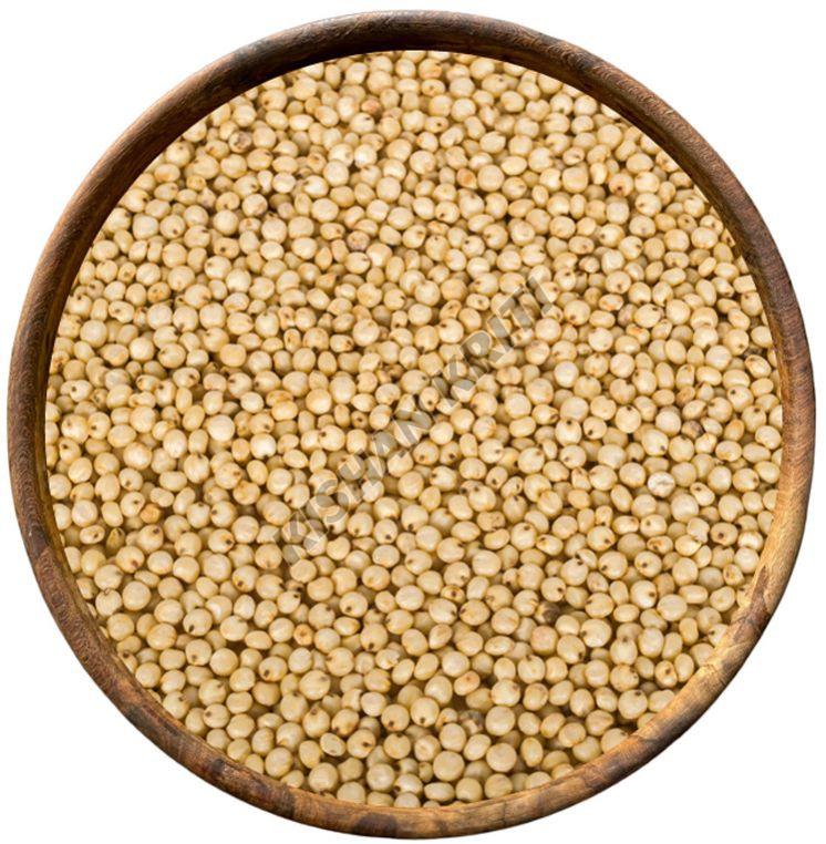 Organic Browntop Millets