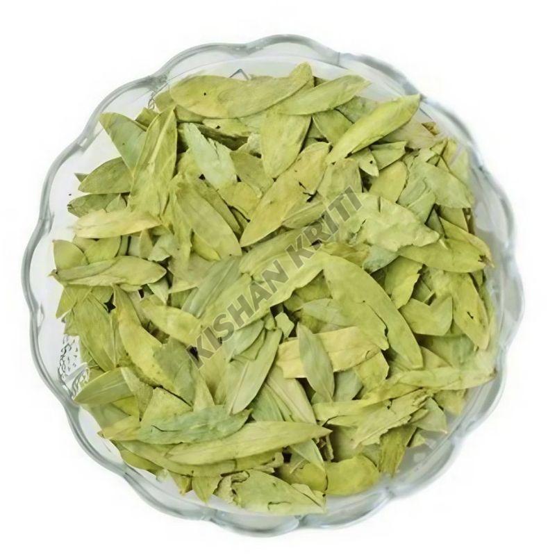 Organic Cassia Angustifolia Senna Leaves