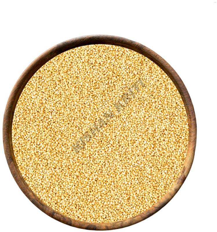 Organic Foxtail Millets