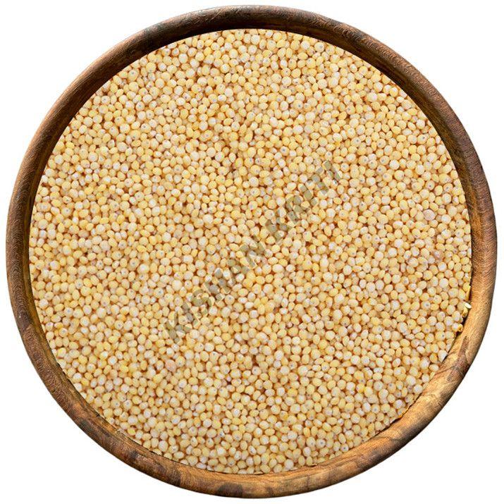 Organic Little Millets