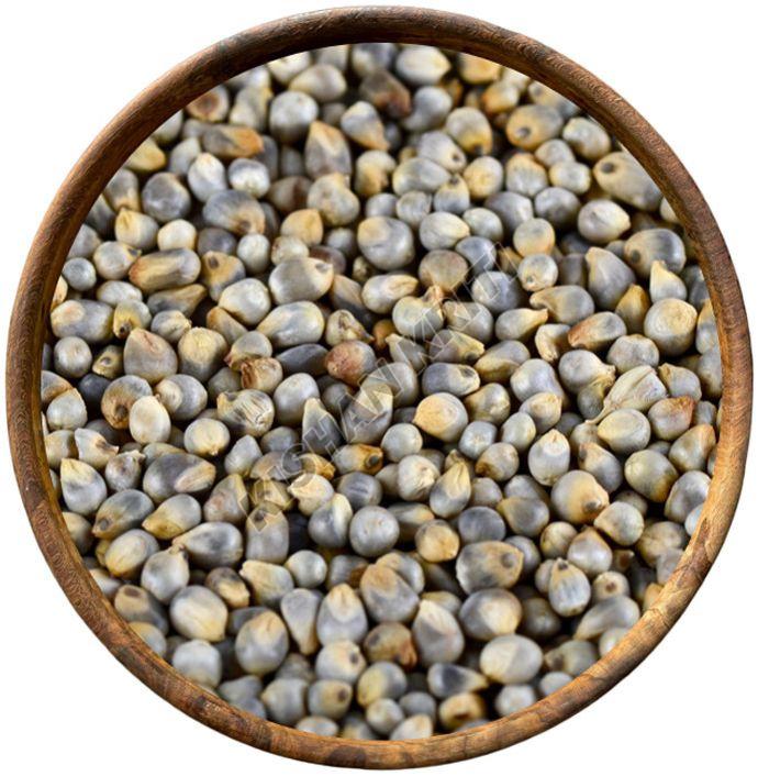 Organic Pearl Millets