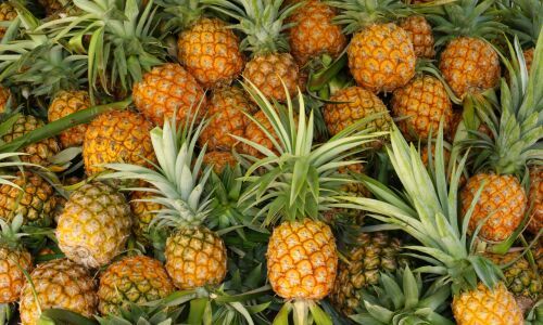 fresh pineapple
