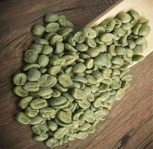 Arabica A Grade Cherry Green Coffee Beans