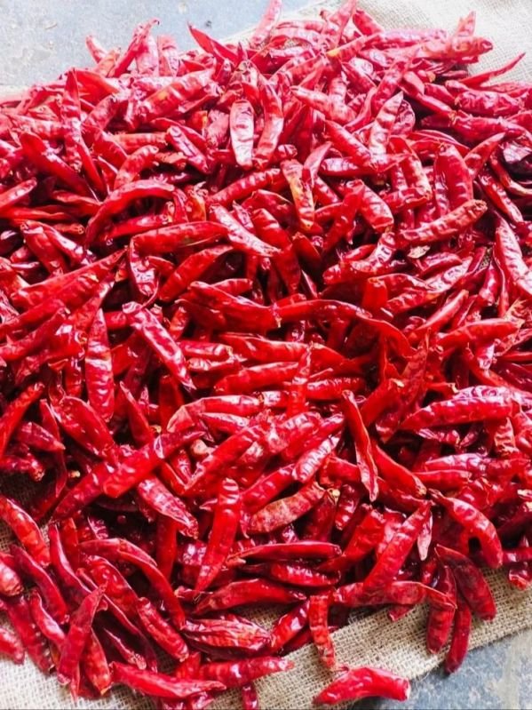Stemless Guntur Dry Red Chilli