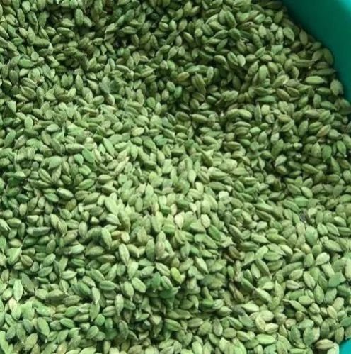 Pepko Green Cardamom