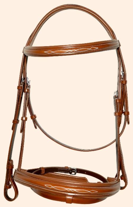 Horse Bridle