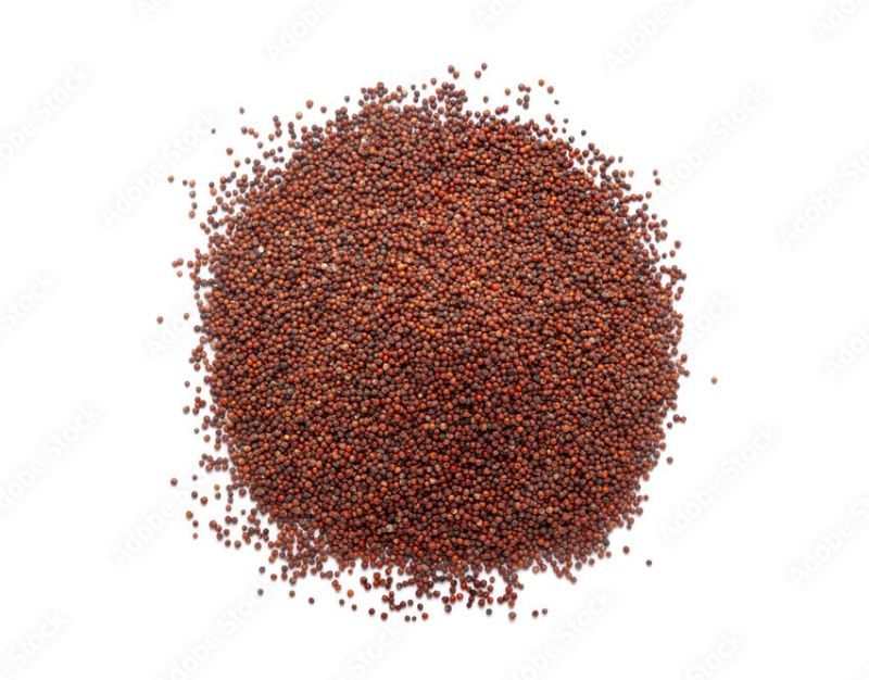 Organic Finger Millet