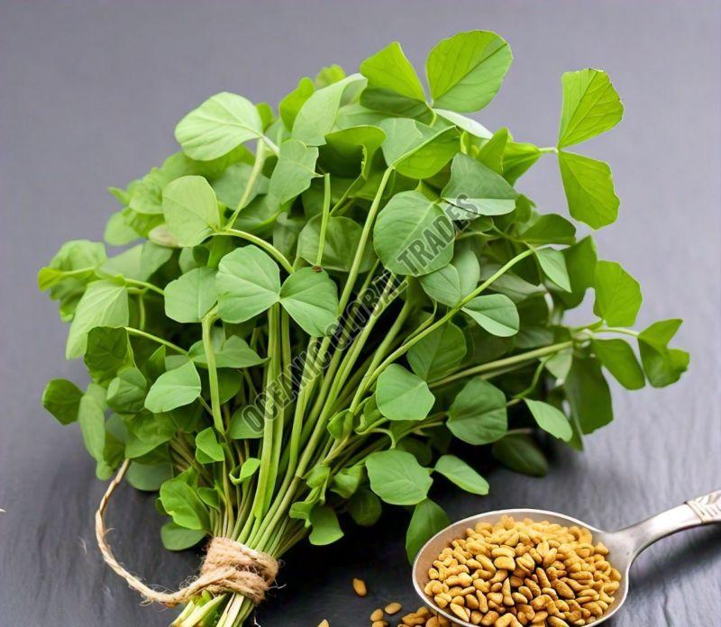 Fenugreek Seeds