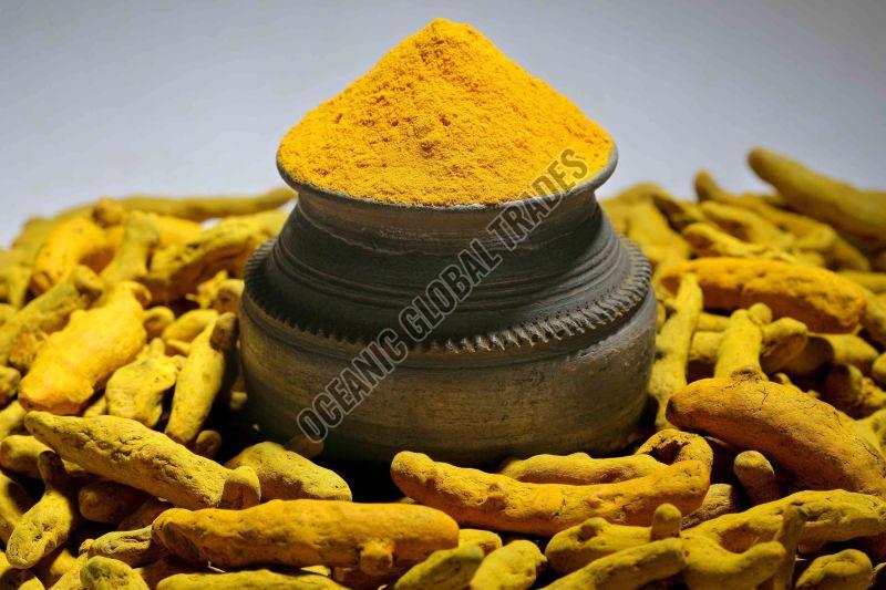 turmeric powder