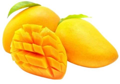 Export Quality Fresh Alphonso Mango