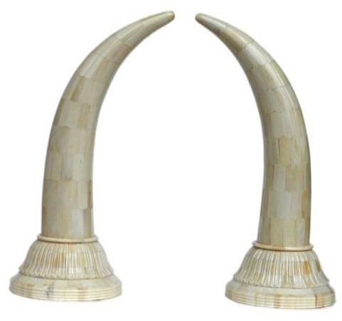 White Bone Tusk Pair