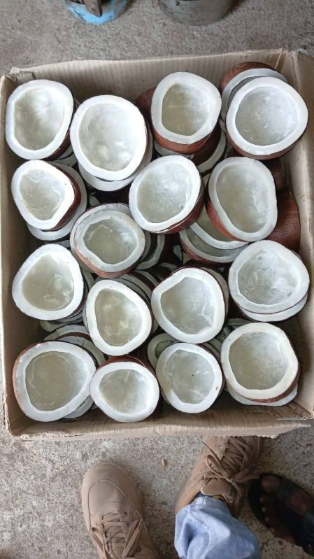 Dry Coconut Copra