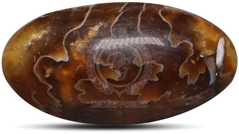 TGM 0712 Brown Ammonite Oval Gemstone
