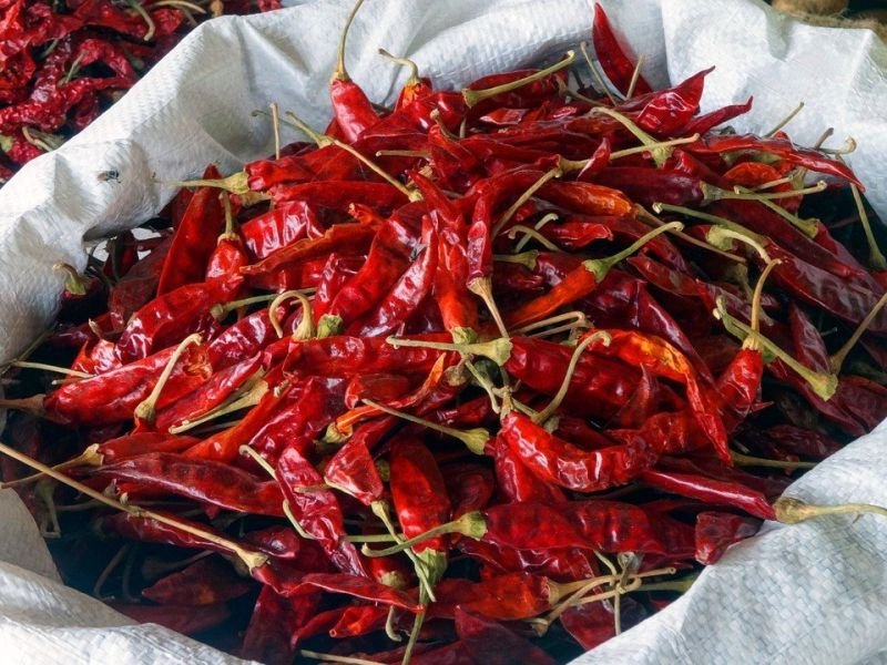 Dry Red Chilli
