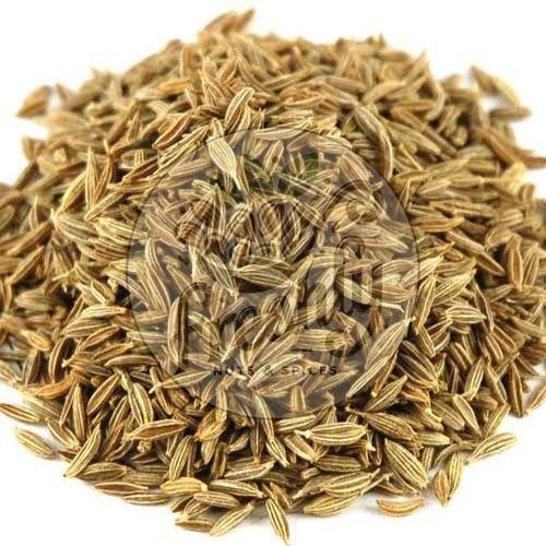 Singapore 99 Cumin Seed