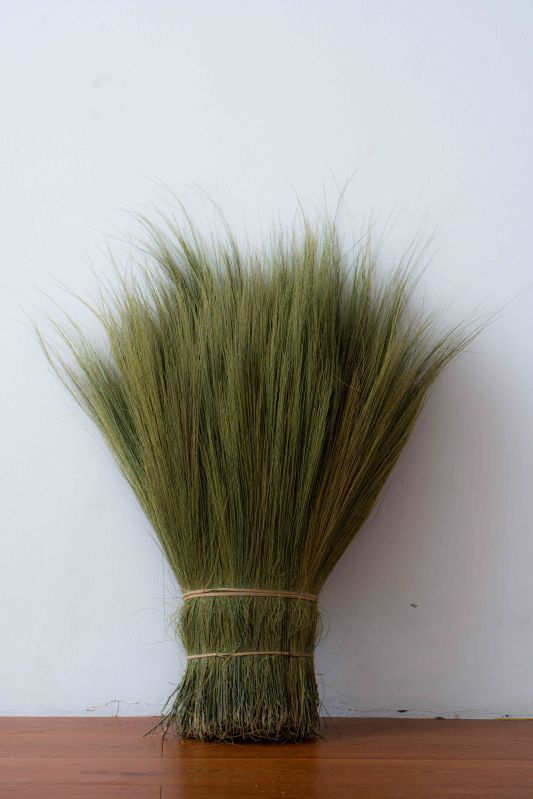 Broom Grass