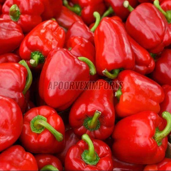 Fresh Red Capsicum