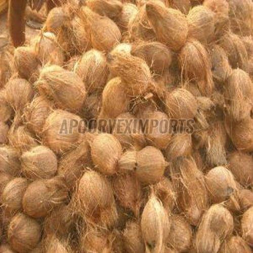 Fresh Semi Husked Coconut